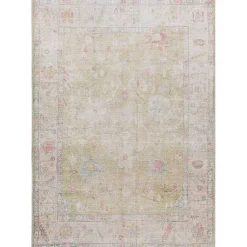 Kirklands Home Faded Botanical Washable Area Rug, 5x7 New