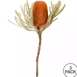 Stems & Bouquets><noscript><img width=