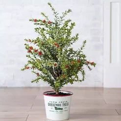 Christmas Arrangements & Garland>Kirklands Home Farm Fresh Bucket Christmas Tree, 33 in.