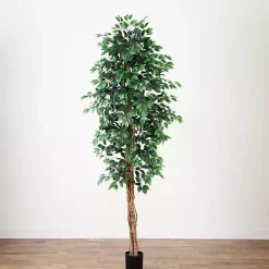 Trees & Topiaries><noscript><img width=