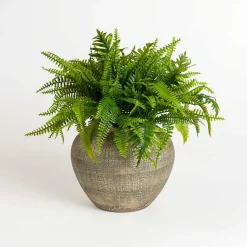 Arrangements & Greenery>Kirklands Home Fern Arrangement in Ceramic Planter