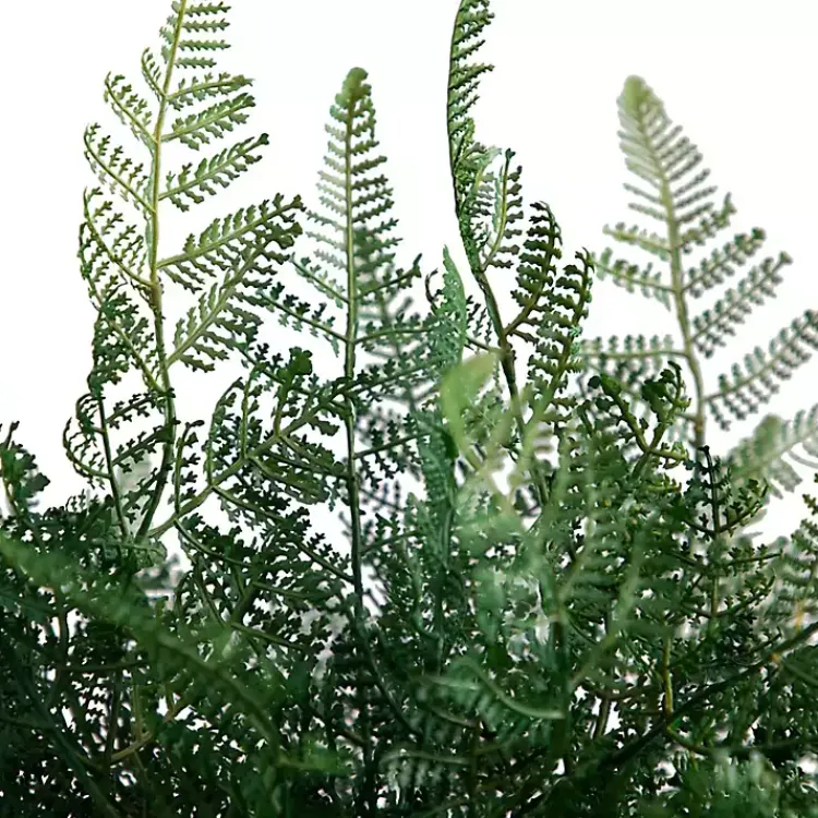 Arrangements & Greenery>Kirklands Home Fern Arrangement in Textured Glass Vase Green