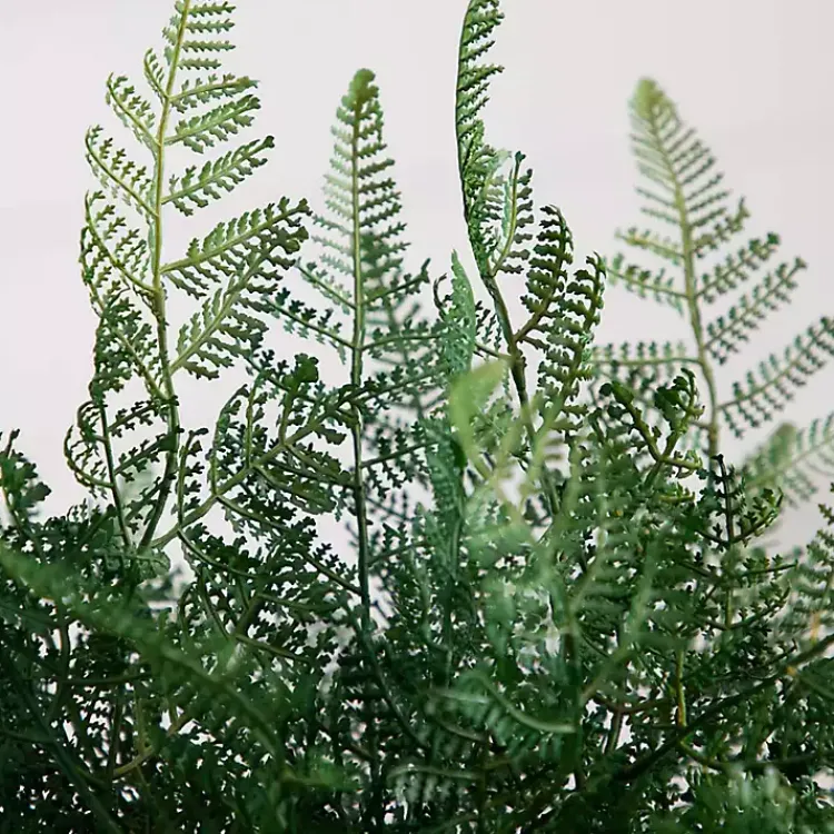 Arrangements & Greenery>Kirklands Home Fern Arrangement in Textured Glass Vase Green