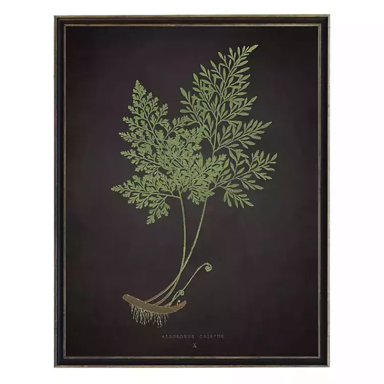 Kirklands Home Fern Bookplate VII Framed Art Print Hot
