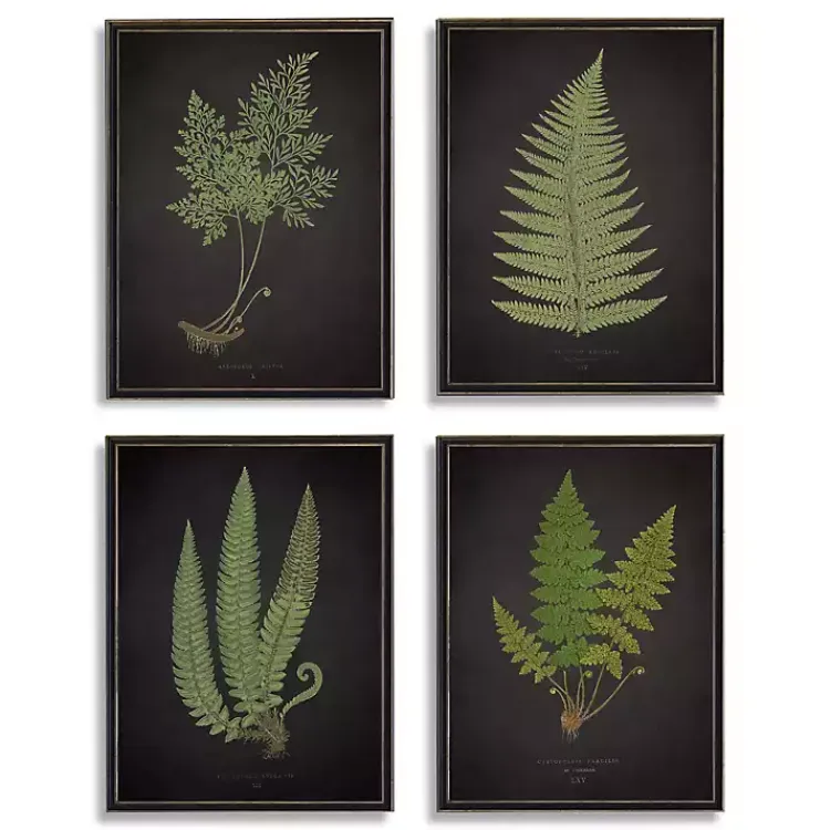 Kirklands Home Fern Framed Art Prints, Set of 4 Discount