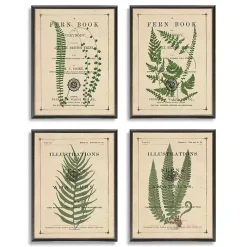 Kirklands Home Fern Illustrations Framed Art Prints, Set of 4 Clearance
