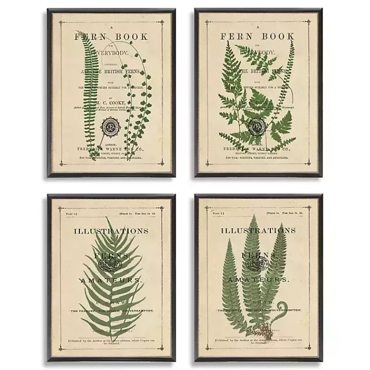 Kirklands Home Fern Illustrations Framed Art Prints, Set of 4 Clearance