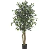 Trees & Topiaries>Kirklands Home Ficus Silk Tree, 4 ft.