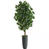 Trees & Topiaries>Kirklands Home Ficus Tree in Gray Oblong Planter, 60 in.