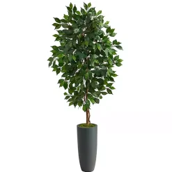 Trees & Topiaries>Kirklands Home Ficus Tree in Gray Oblong Planter, 60 in.
