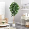 Trees & Topiaries>Kirklands Home Ficus Tree with Moss in White Tin Planter