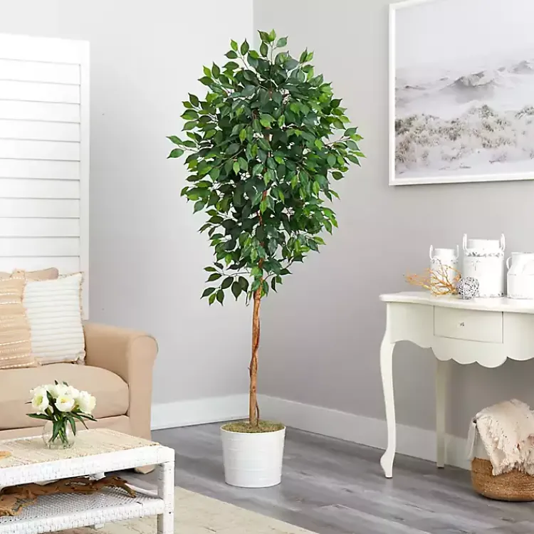 Trees & Topiaries>Kirklands Home Ficus Tree with Moss in White Tin Planter