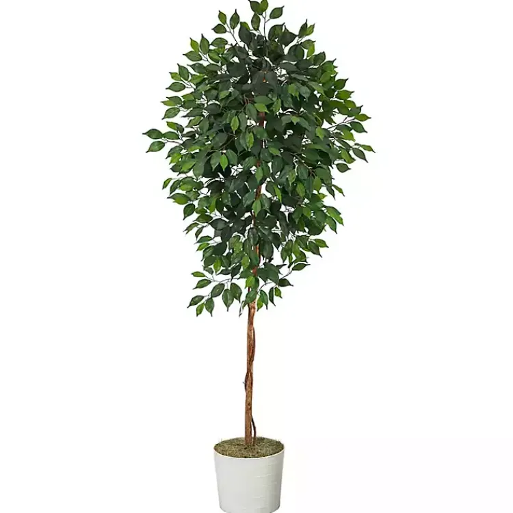 Trees & Topiaries>Kirklands Home Ficus Tree with Moss in White Tin Planter