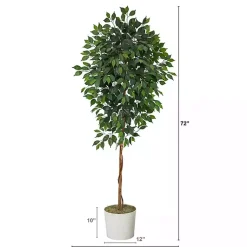Trees & Topiaries><noscript><img width=