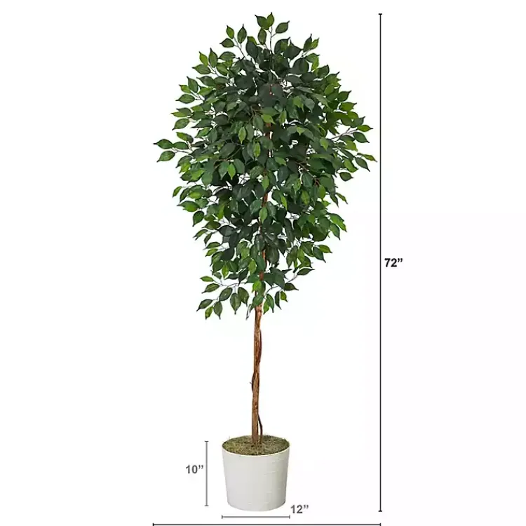 Trees & Topiaries>Kirklands Home Ficus Tree with Moss in White Tin Planter