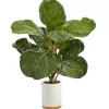 Trees & Topiaries>Kirklands Home Fiddle Leaf Fig in White Ceramic Planter, 21 in.