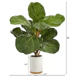 Trees & Topiaries>Kirklands Home Fiddle Leaf Fig in White Ceramic Planter, 21 in.