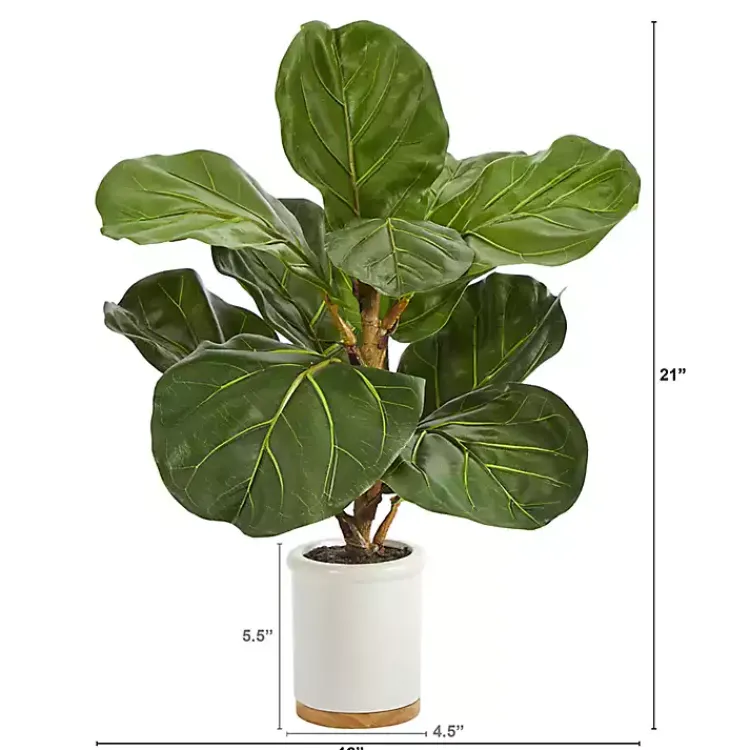 Trees & Topiaries>Kirklands Home Fiddle Leaf Fig in White Ceramic Planter, 21 in.