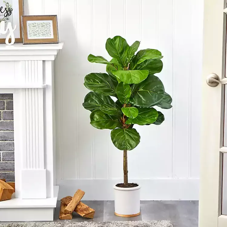 Trees & Topiaries>Kirklands Home Fiddle Leaf Fig in White Ceramic Planter, 42 in.