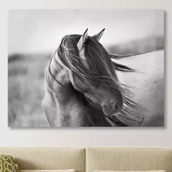 Kirklands Home Fierce Grace Canvas Art Print New