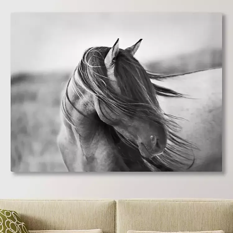 Kirklands Home Fierce Grace Canvas Art Print New
