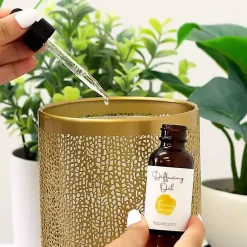 Home Fragrance><noscript><img width=