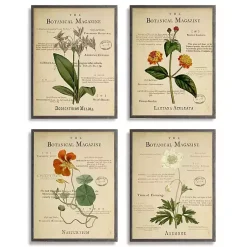 Kirklands Home Flower Illustrations Framed Art Prints, Set of 4 Sale