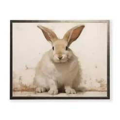 Easter Decorations>Kirklands Home Fluffy Bunny Framed Art Print