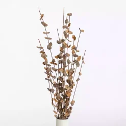 Stems & Bouquets>Kirklands Home Foam Eucalyptus Sprays, Set of 2