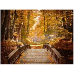 Kirklands Home Forest Escape Giclee Canvas Art Print Online