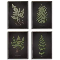 Kirklands Home Four Ferns Framed Art Prints, Set of 4 Discount