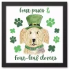 St Patricks Day Decorations>Kirklands Home Four Paws and Clovers Framed Canvas Art Print