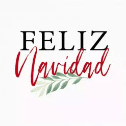 Christmas Art & Wall Decor>Kirklands Home Framed Feliz Navidad Christmas Canvas Art Print