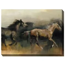 Kirklands Home Free Rein Outdoor Canvas Art Print Hot