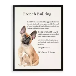 Kirklands Home French Bulldog Boxer Facts Framed Wall Plaque Sale