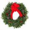 Fresh Christmas Wreaths & Greenery>Kirklands Home Fresh Cut Boxwood Blue Ridge Mountain Wreath