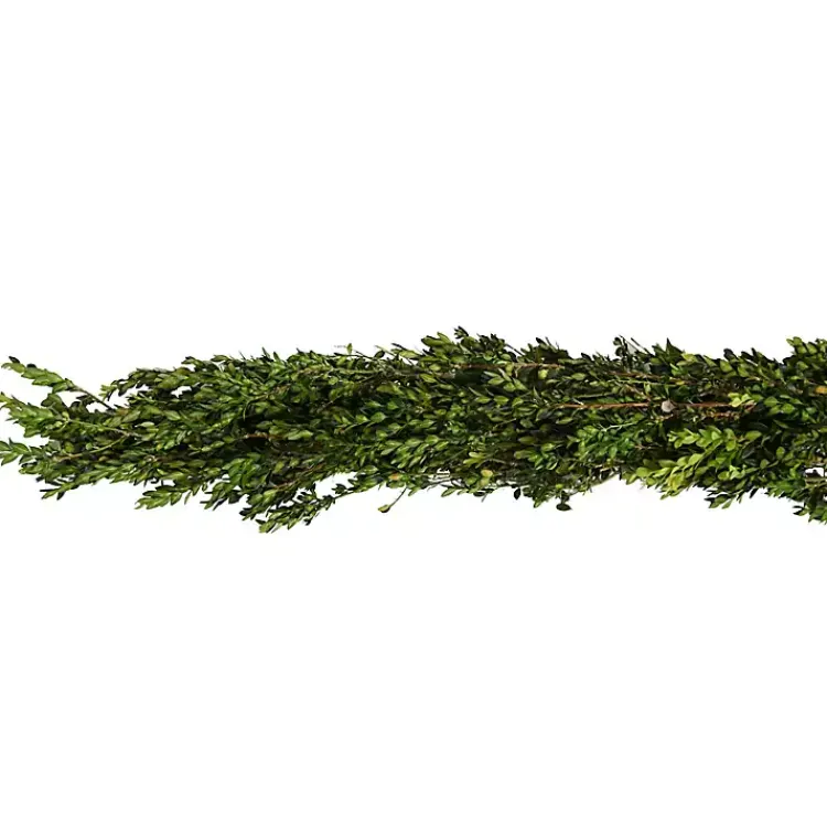 Fresh Christmas Wreaths & Greenery>Kirklands Home Fresh Cut Boxwood Christmas Garland