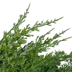 Christmas Wreaths><noscript><img width=