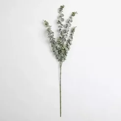 Stems & Bouquets>Kirklands Home Frosted Eucalyptus Stem Green