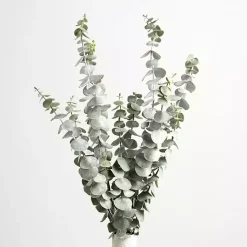 Stems & Bouquets>Kirklands Home Frosted Eucalyptus Stem Green