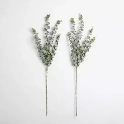 Stems & Bouquets>Kirklands Home Frosted Eucalyptus Stems, Set of 2 Green