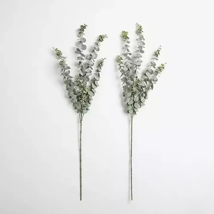 Stems & Bouquets>Kirklands Home Frosted Eucalyptus Stems, Set of 2 Green