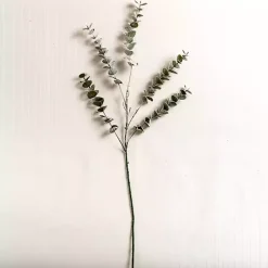 Christmas Arrangements & Garland>Kirklands Home Frosted Spiral Eucalyptus Stem Green