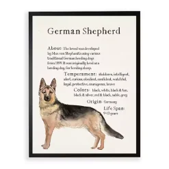 Kirklands Home German Shepherd Facts Framed Wall Plaque Outlet