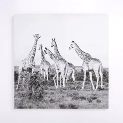 Kirklands Home Giraffes in the Wild Canvas Art Print New