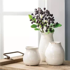 Vases><noscript><img width=