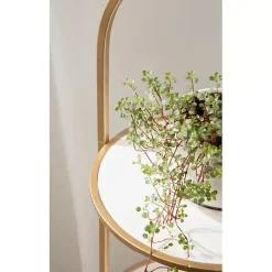 Kirklands Home Gold Arched 3-Tier Plant Stand New