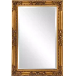 Kirklands Home Queen Ann Rectangular Wall Mirror Gold New