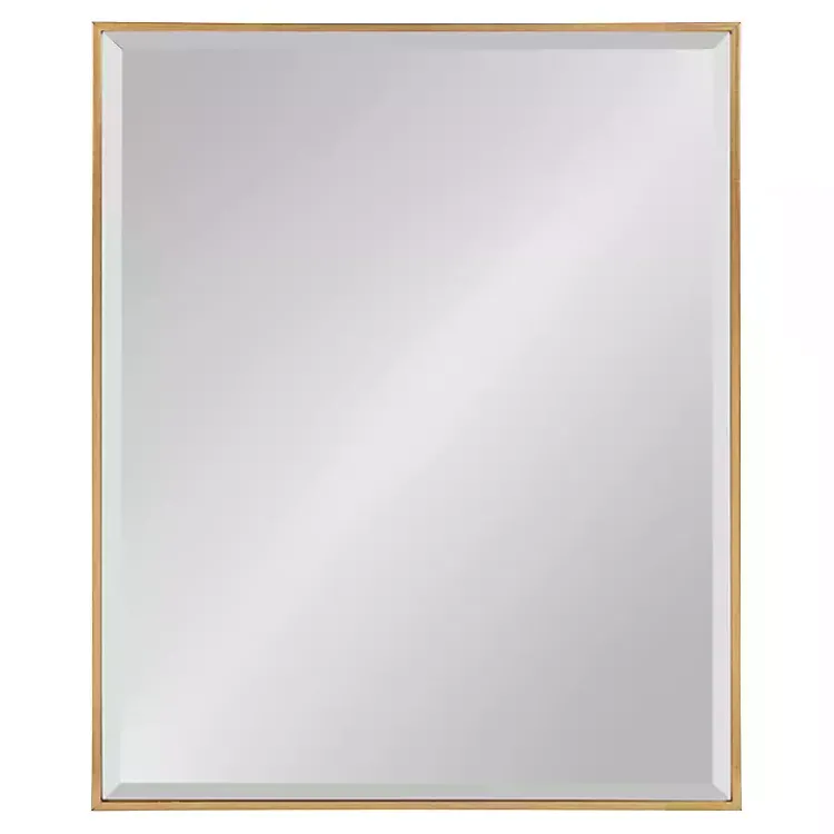 Kirklands Home Gold Rhodes Rectangle Wall Mirror New
