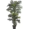 Trees & Topiaries>Kirklands Home Golden Cane Palm Silk Tree, 6.5 ft.